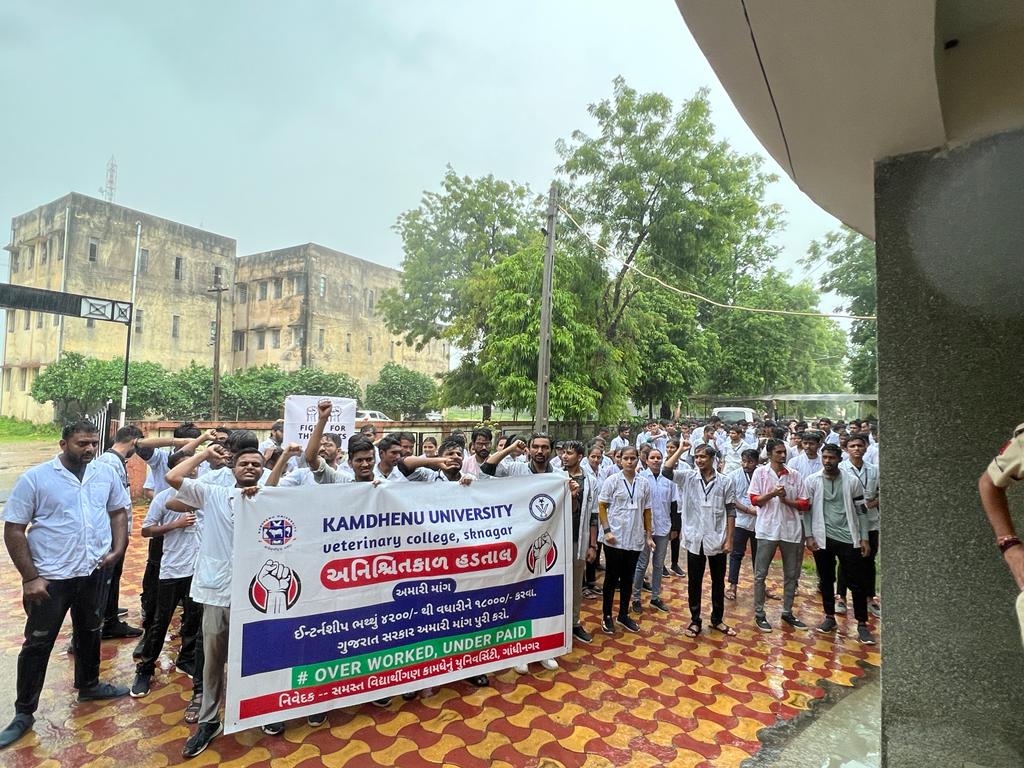 DIYAPAT95061971's tweet photo. આજરોજ હડતાલના સાતમા દિવસે દાંતીવાડા વેટરીનરી કોલેજ કામધેનુ યૂનિ. ના વિધાર્થીઓએ ધોધમાર વરસાદની વચ્ચે રેલી યોજી મામલતદાર શ્રીને ફરી આવેદનપત્ર આપી, અમારી માંગ સ્વીકારવા રજૂઆત કરી.
@CMOGuj @Bhupendrapbjp 
@RaghavjiPatel @KanuDesai180
#Increase_Guj_Vet_Stipend
#Guj_vet_union https://t.co/RfL4Wrna09