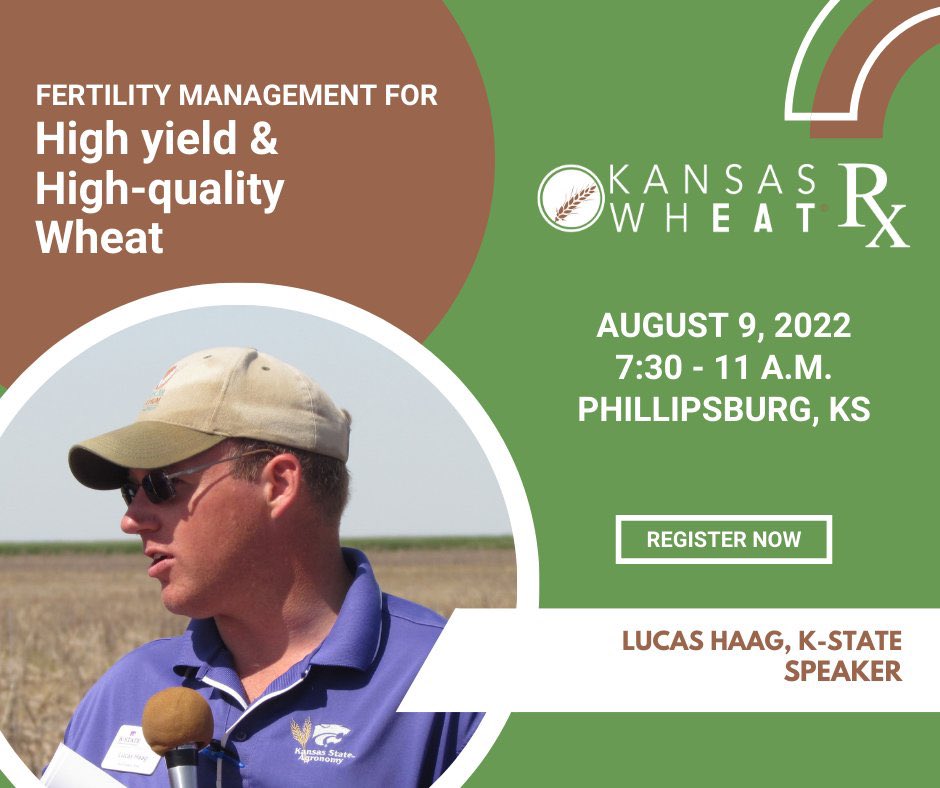 KSUWheat's tweet photo. Don’t miss all of this week’s #wheat extension events to learn about high yield = high quality wheat:

- Tuesday 8/9: WheatRx in Phillipsburg with @KansasWheat 

- Wednesday 8/10: WheatRx in Garden City with @grain_craft 

- Thursday 8/11: WheatU in Wichita with @HighPlainsJrnl https://t.co/Bh2WbAo9se