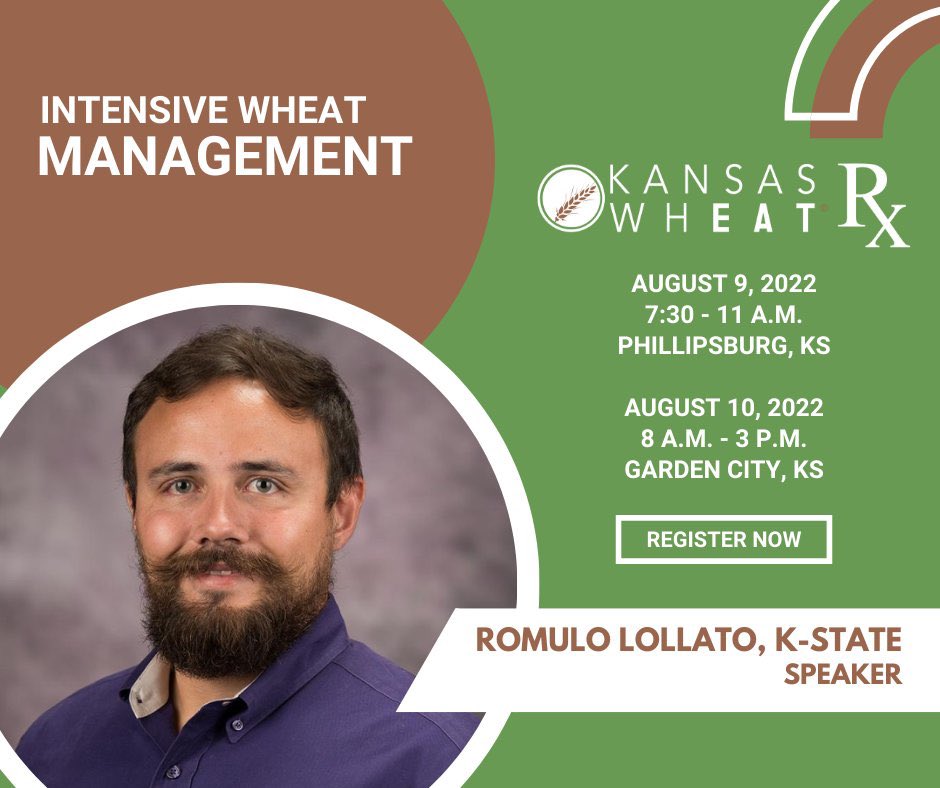 KSUWheat's tweet photo. Don’t miss all of this week’s #wheat extension events to learn about high yield = high quality wheat:

- Tuesday 8/9: WheatRx in Phillipsburg with @KansasWheat 

- Wednesday 8/10: WheatRx in Garden City with @grain_craft 

- Thursday 8/11: WheatU in Wichita with @HighPlainsJrnl https://t.co/Bh2WbAo9se