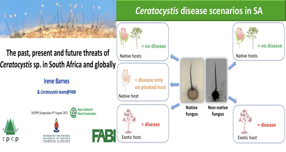 Plant pathogens that keep us awake. Thanks <a href="/nzppsociety/">NZPPS</a> for inviting me to speak at the symposium. Some good thought provoking talks. <a href="/Fabiteam1/">FABI</a>