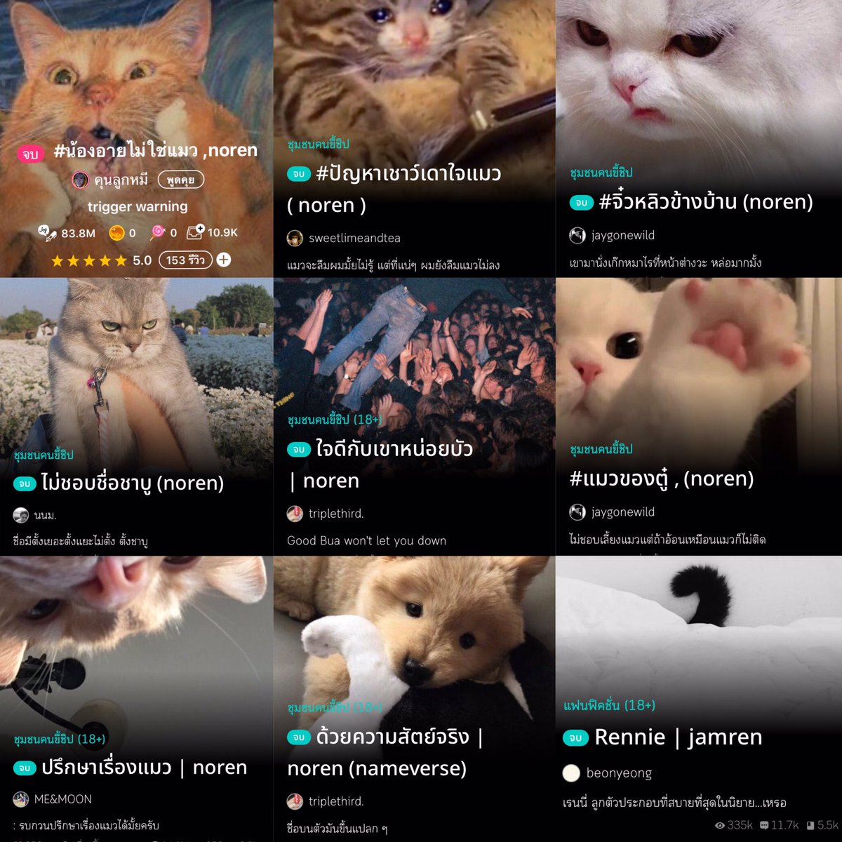 วันแมวโลก เตงมีแมวยัง🐾🐾