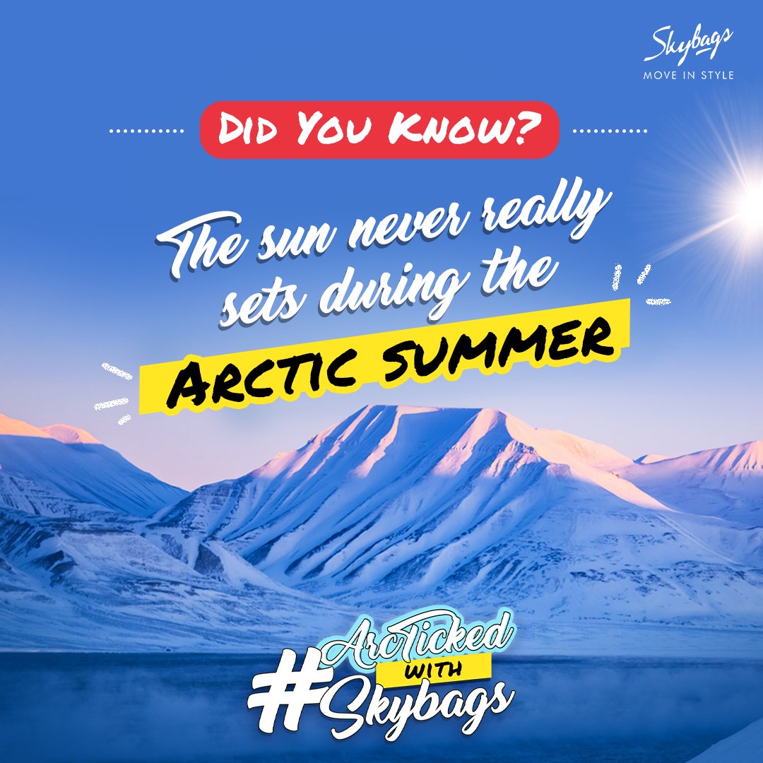 What a 'lit' summer, eh?!✨😍

#ArcTickedWithSkybags #Contest #ContestAlert #SkybagsAtArctic #AllAboutArctic #Skybags #MoveInStyle #Backpacks #Style #Trend #Cool #Travel #TravelBackpack #StylishBackpack  #Travelgram