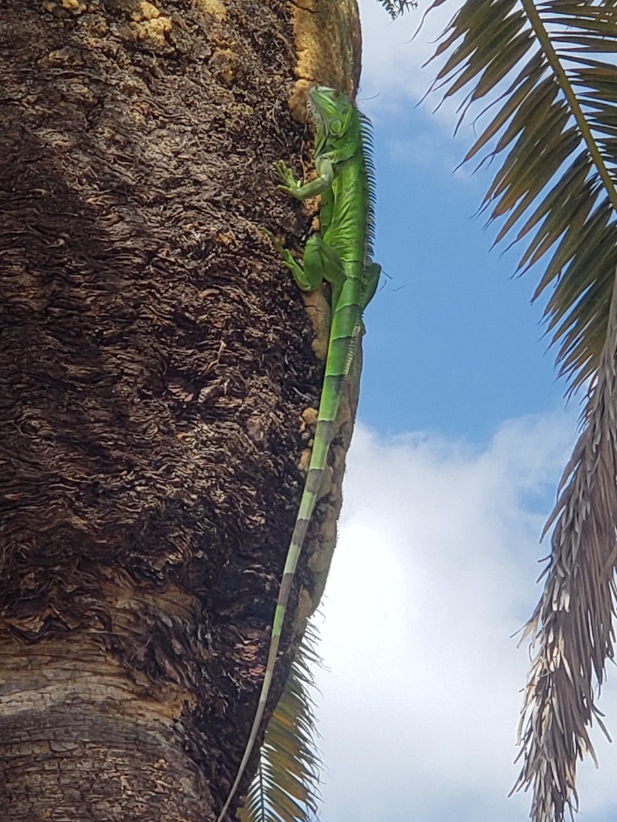 ConnorTomlin98's tweet photo. Some wildlife https://t.co/LD50WORh6H