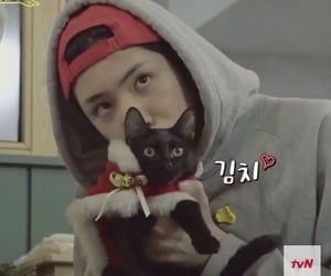 shinwonology_'s tweet photo. Happy International Cat Day 💓💓🤣🐱 https://t.co/t6oijMjGgO