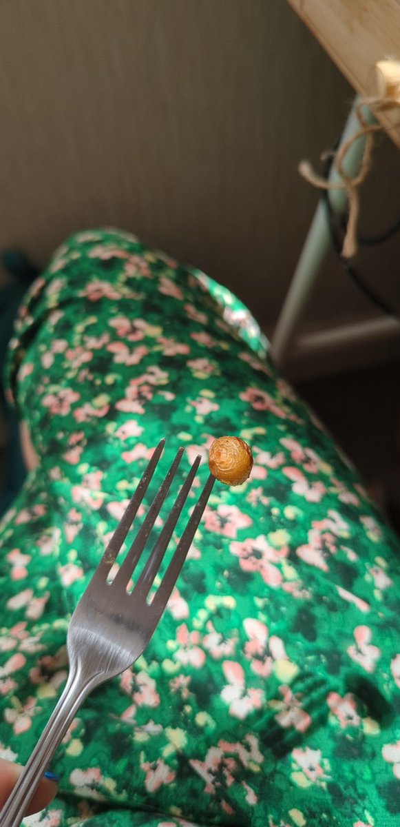 Not me in a teams meeting with mic and camera off because I got better things to do - in other words photographing this tiny potato