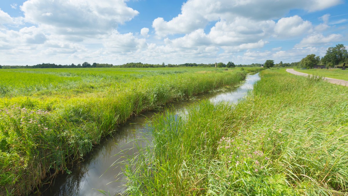 WDODelta's tweet photo. Vanwege de #droogte zetten we waar mogelijk de komende dagen de #waterpeilen in #sloten extra hoog. Dat doen we tot boven het maximale zomerpeil. Op deze manier creëren we een buffer in de voorraad van het grond- en oppervlaktewater. 👉 https://t.co/IRLKezYx9f https://t.co/MOKYs1CZ8M