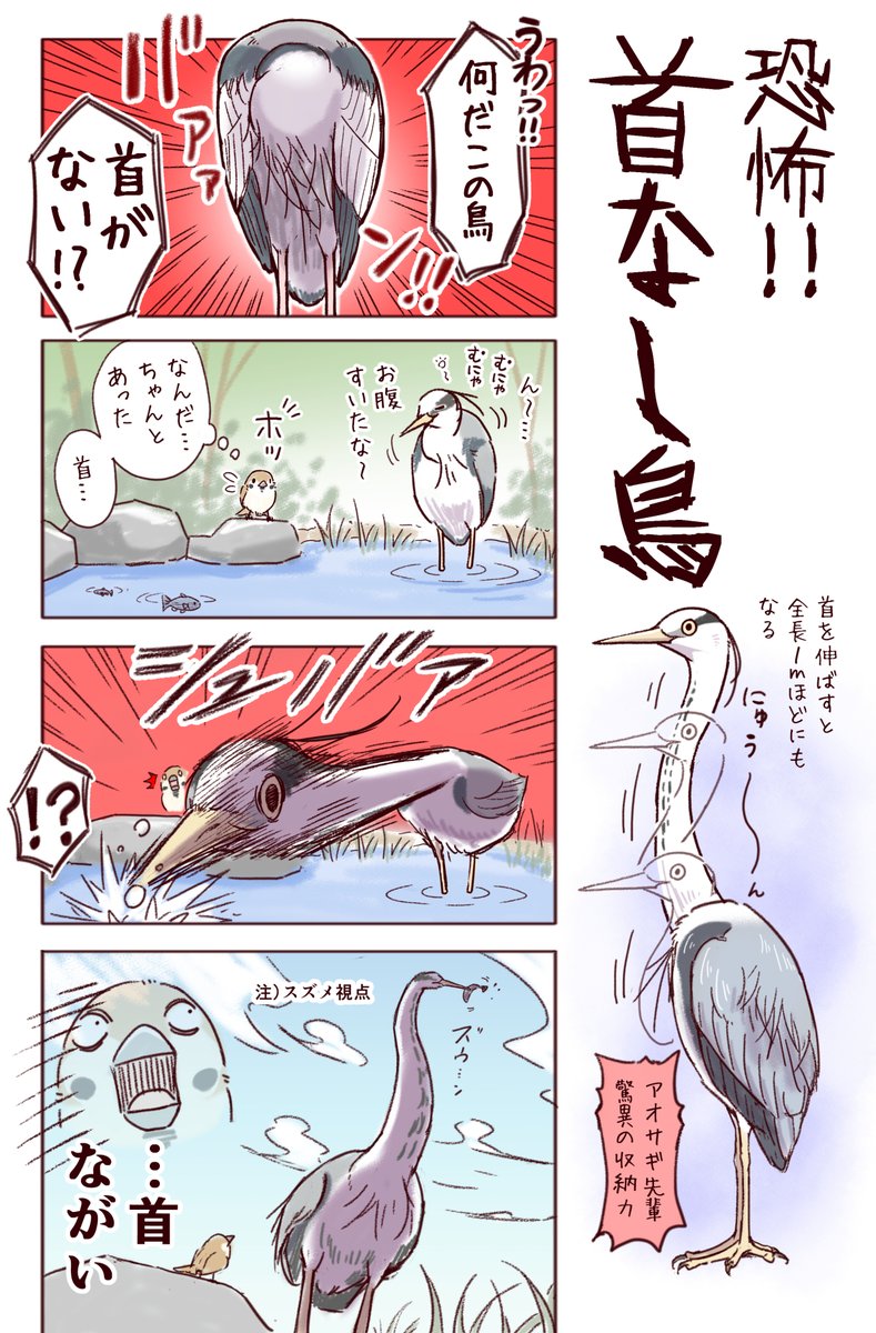 わいるどらいふっ!第200種
日本野鳥の怪 #夏の怪談 