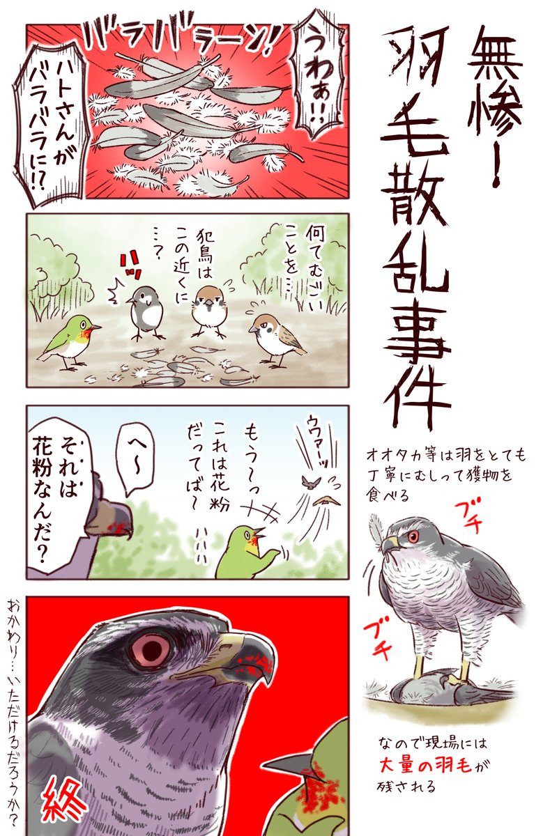 わいるどらいふっ!第200種
日本野鳥の怪 #夏の怪談 