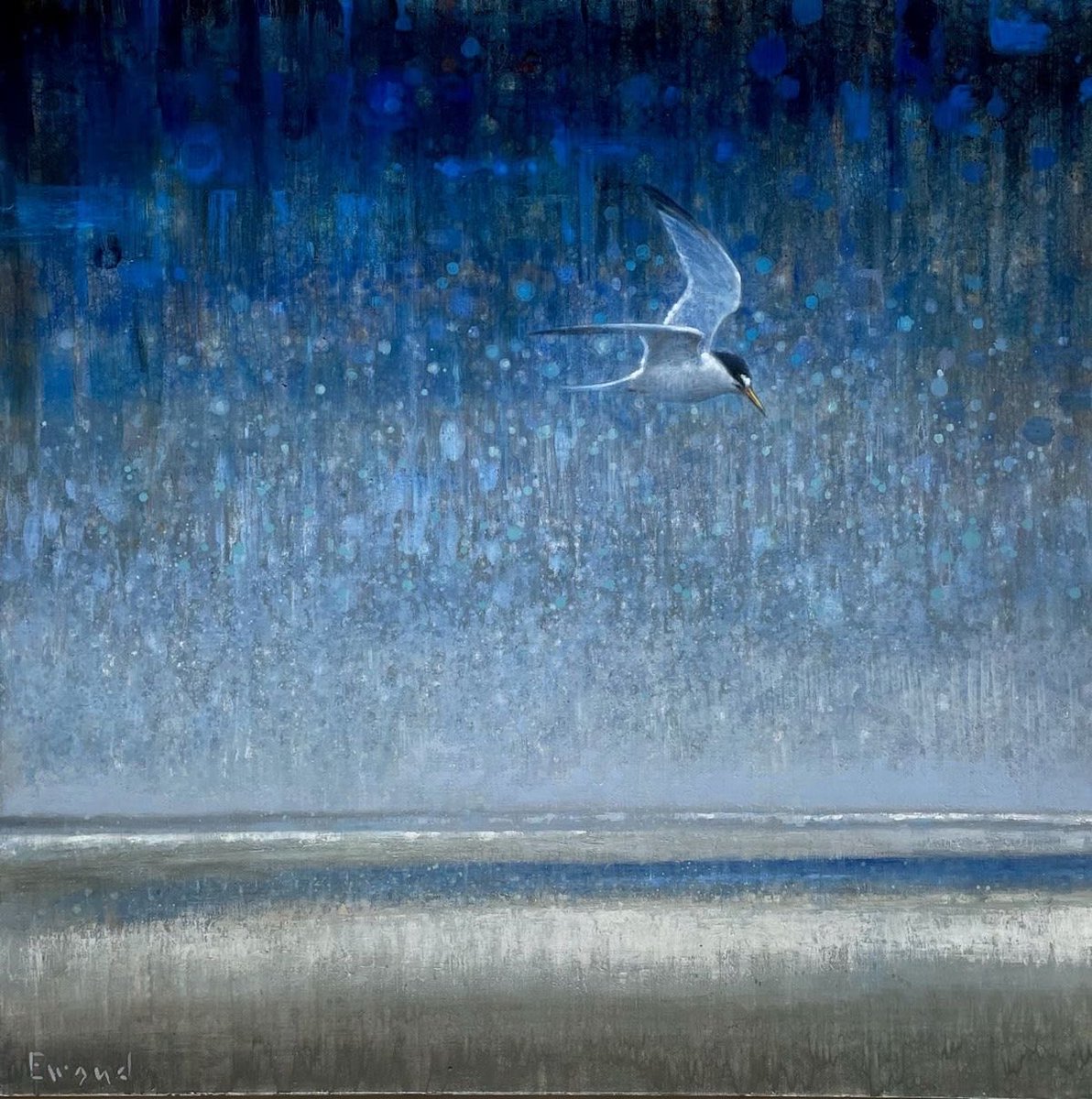 Hello again
‘Little Tern’.   Ewoud de Groot who is from the Netherlands.   His style changed my mind about Wildlife when I found his work a long time ago.  Ethereal painting