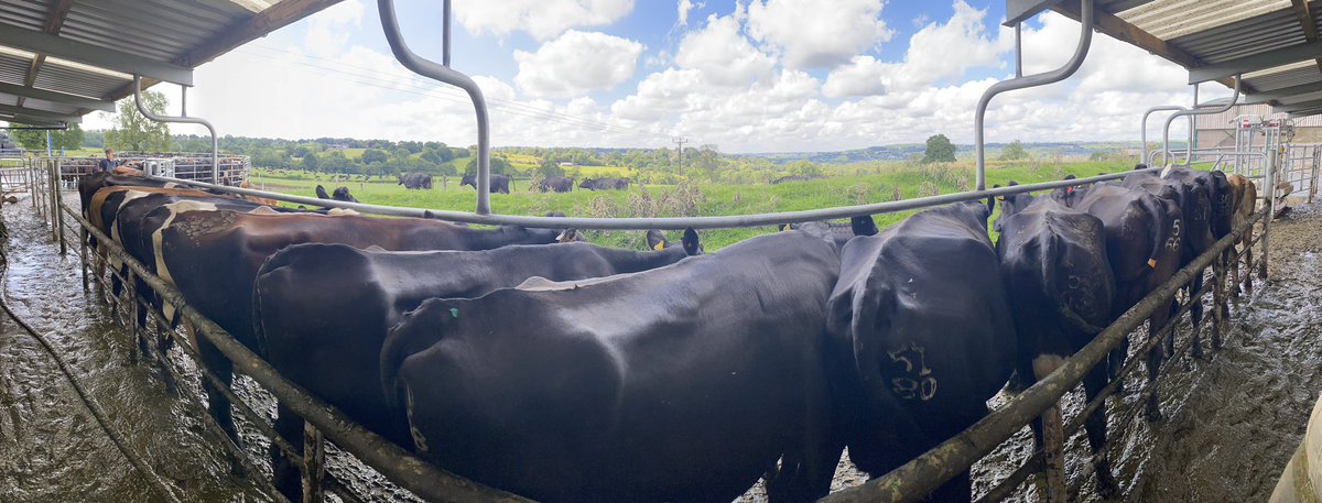 Couldn’t ask for a better office view than this! <a href="/Dave_Marrow/">Dave Marrow</a>