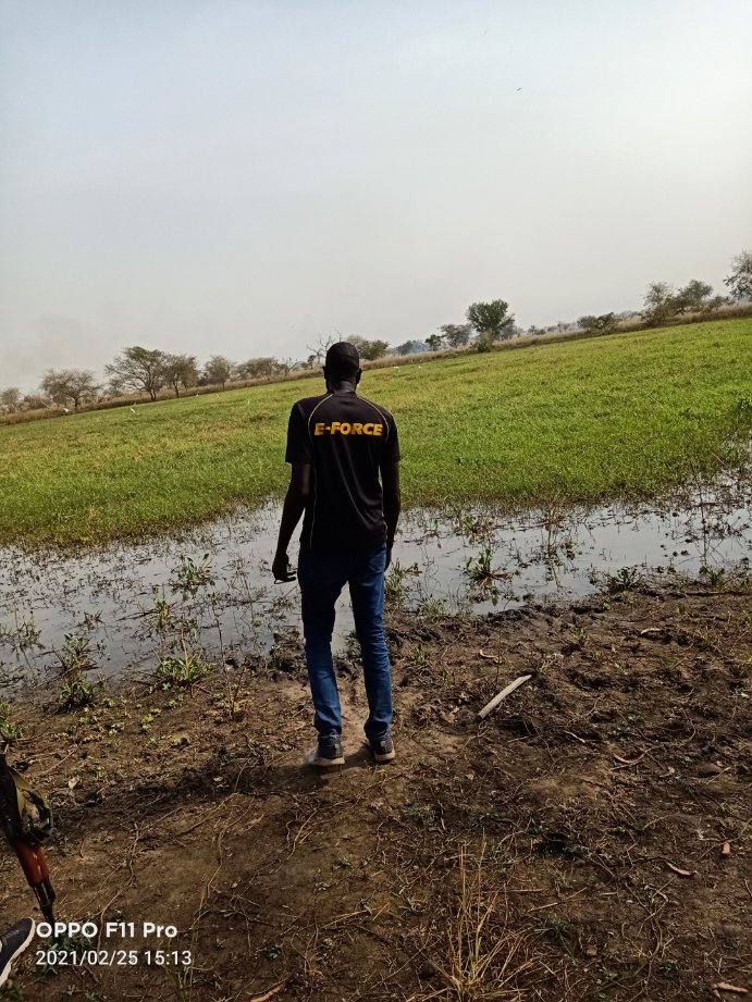 The beauty of our environment (Toch)
#Ariernhom