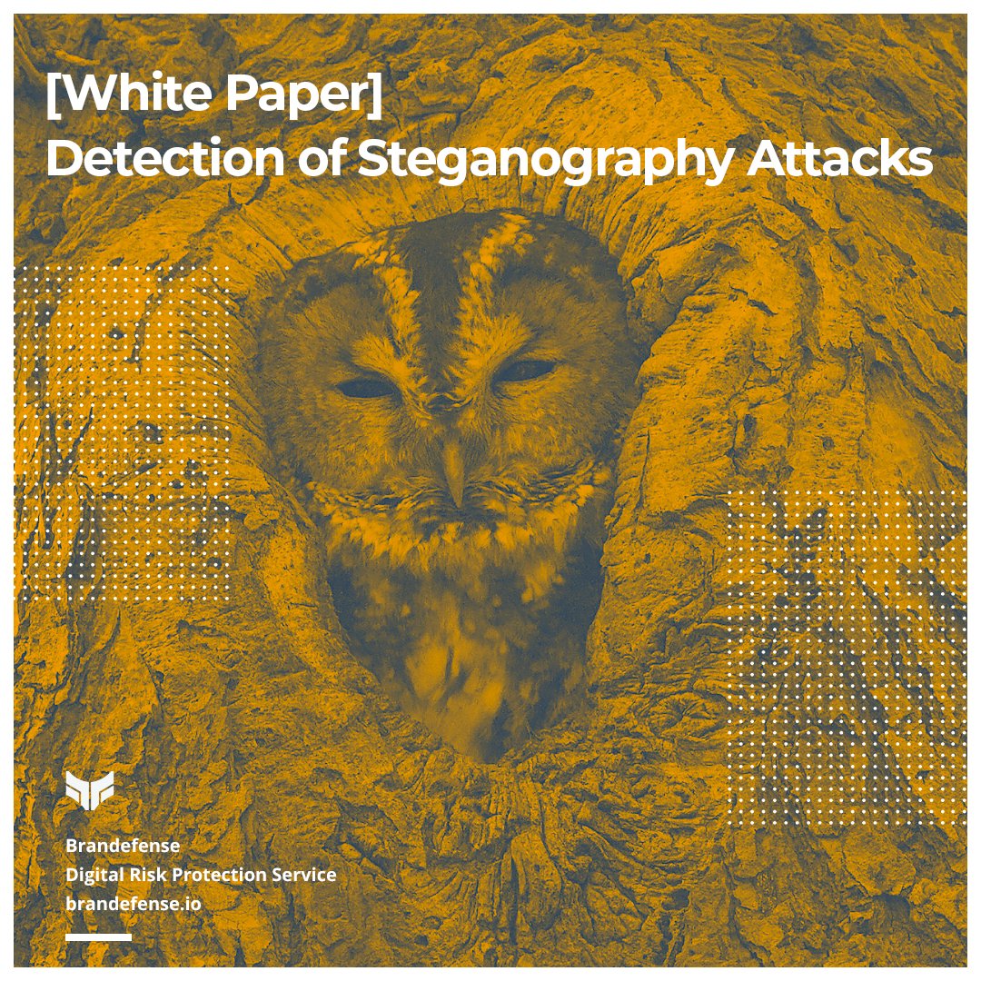 Steganography is a camouflage method of a message or an activity. It hides the #malicious code. It is not just used for cyber attacks, it was also used for messaging anonymously in battle. Our CTI Team detailed steganography attacks for you. Learn more👇 eu1.hubs.ly/H01v4yr0