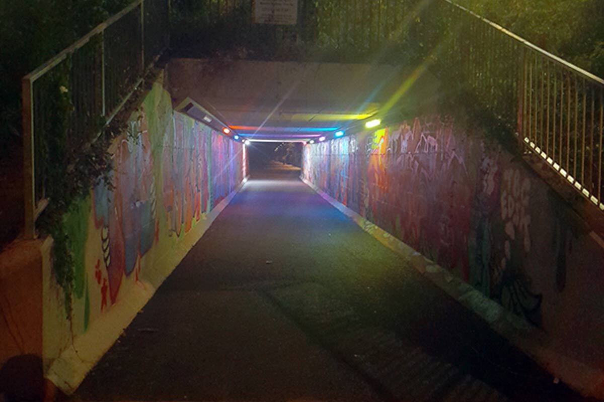 Electric Skyline Ltd tweet media