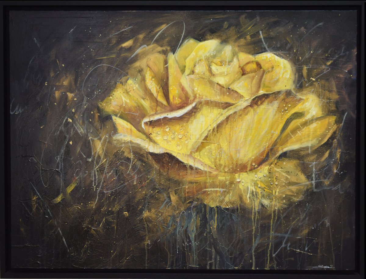 Zari Gallery tweet media