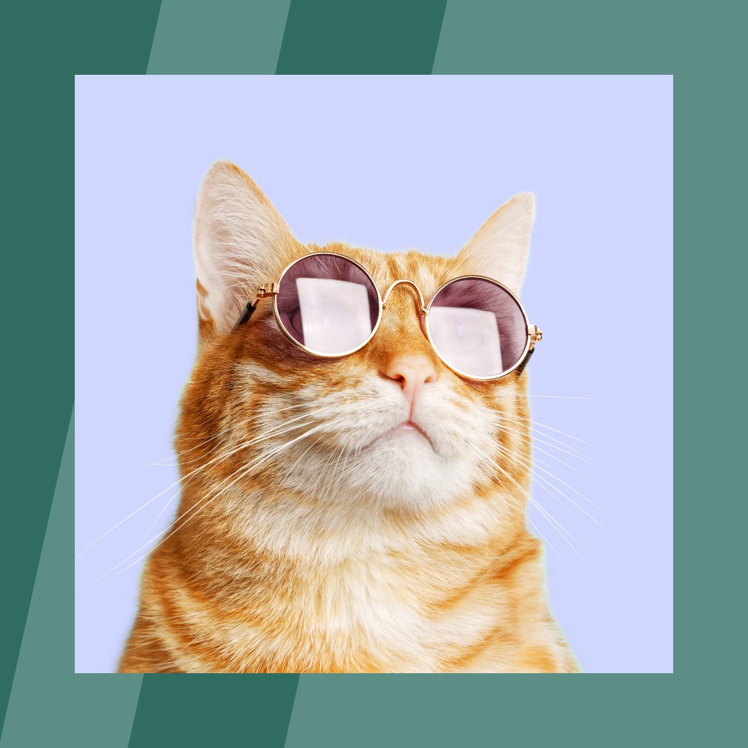 Helpling.fr tweet media