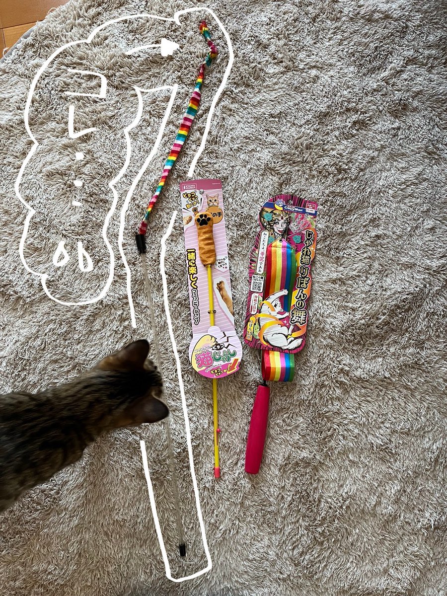 #世界猫の日 だそうです🐈

紐状の猫じゃらしが短くなってきたので新しいのを買ってきました。(同じのなかった～💦)
紐の長さ150㎝くらいあったと思うんですけど、今30㎝くらい…🤔❓

世界中の猫が、のんびり遊べる日々を過ごせますように…✨ 