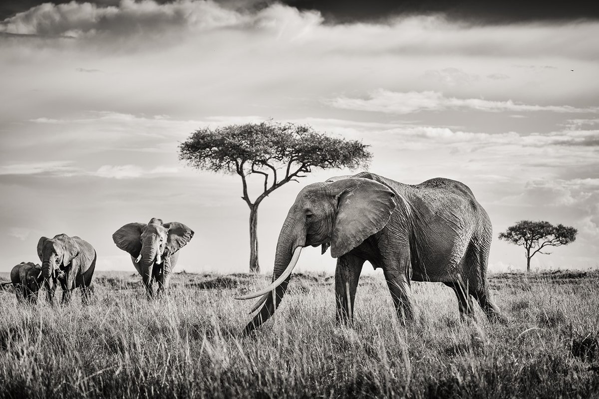 peterdelaneyphotography.com/unsung-wild-ar…