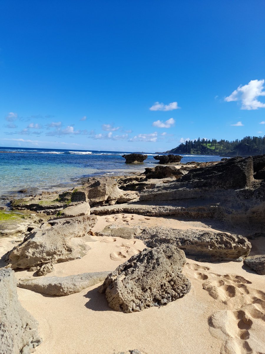 End of a successful week of geomorphic sampling around the Norfolk Island coast! @HaideeCadd and I sampled over 90 sites, explored the coast from a boat and even got a sneaky snorkel in! @GeoQuEST_UOW @uowresearch