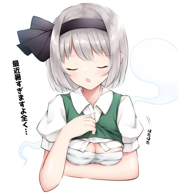 盛大にめくって涼をとってしまった妖夢ちゃん 