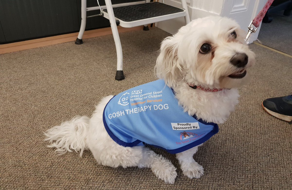 The Debs Foundation tweet media