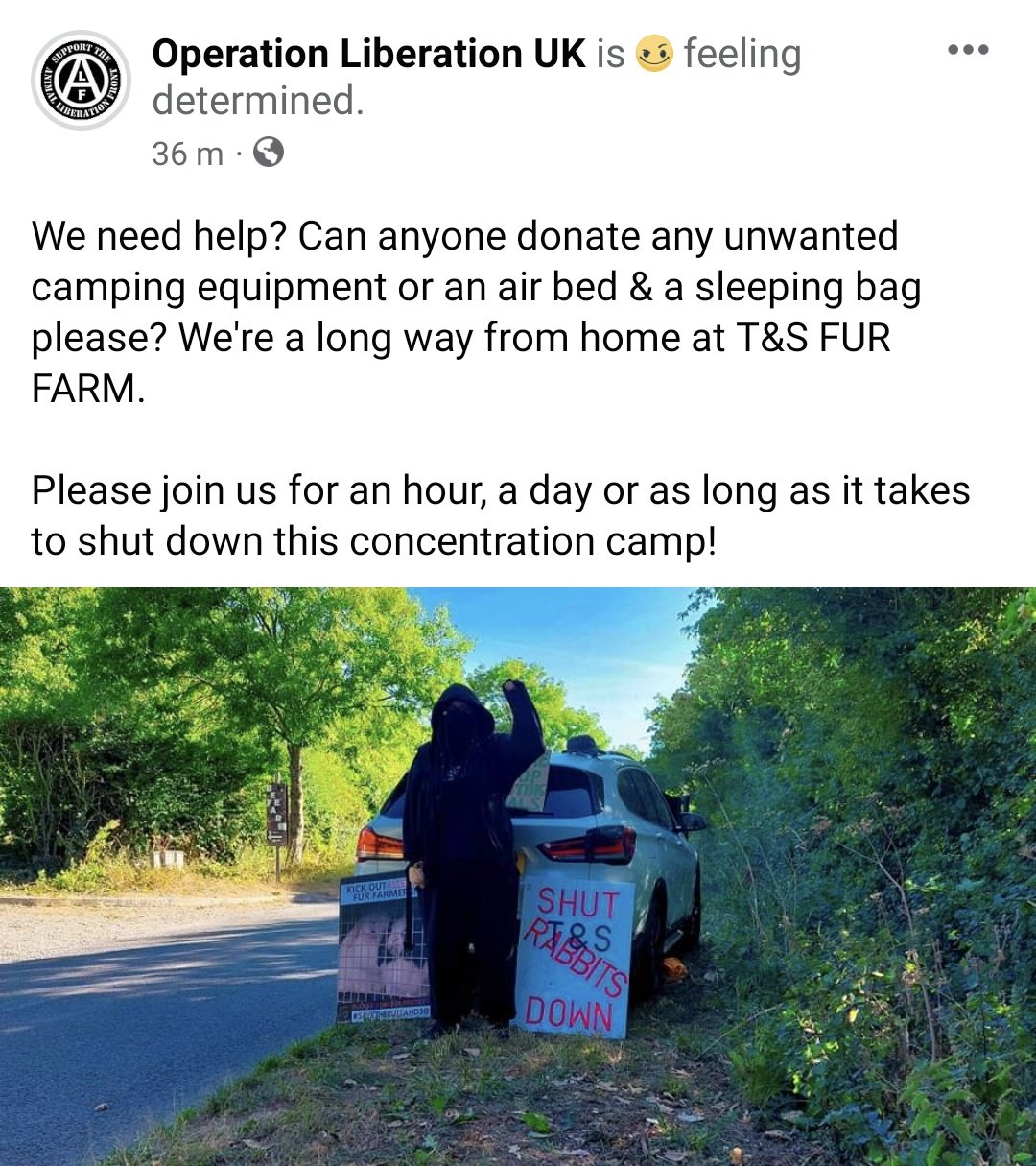 Rabbit Farm Resistance UK 🏳️‍🌈🏳️‍⚧️ on Twitter "🐰CAMP BUNNY🐰 needs our