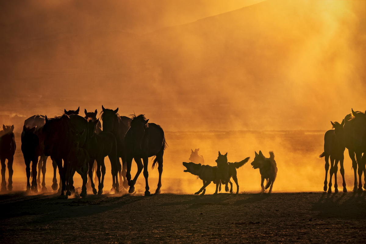 <a href="/MetaLadies_/">MetaLadies</a> Mustang #33
0.03 ETH #opensea