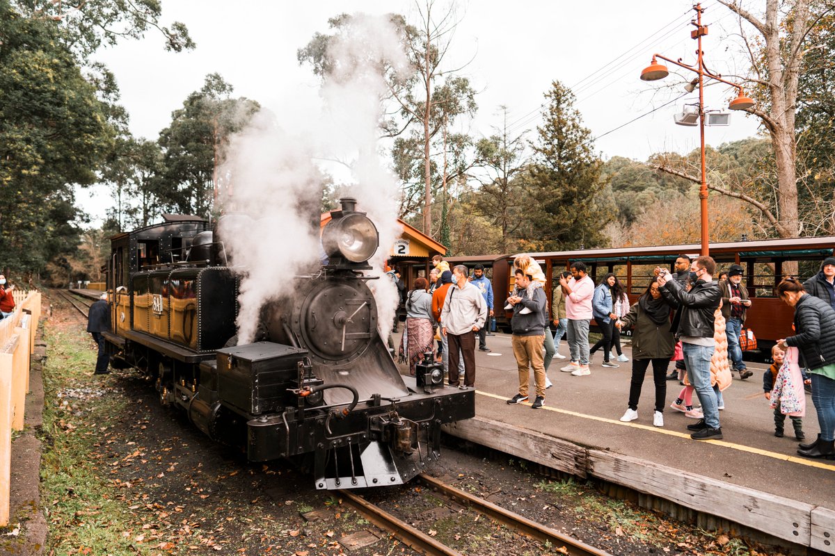nathsway's tweet photo. Step into a timeless world of wonder on Australia's favourite steam train, @puffingbillyr! Located in the Dandenong Ranges, this iconic train is the heart of the local community and one of the best preserved steam railways in the world! https://t.co/ysn0PDrtI5