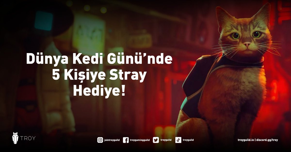troyguild's tweet photo. 🇹🇷Dünya Kediler Günü'nü boş geçmeyelim.🐈

✅Twitter'da bizi takip et.
✅Instagram'da bizi takip et.
👉https://t.co/PnhFXEm3Ov
✅Bu Tweet'i beğen ve RT'le.
✅5 takipçimize #Stray hediye!😻🎁

Sonuçlar yarın 21.00'de Discord'ta.
👉https://t.co/WBcs5Pk3Nx

#uluslararasıkedigünü https://t.co/kPvPUNwQow