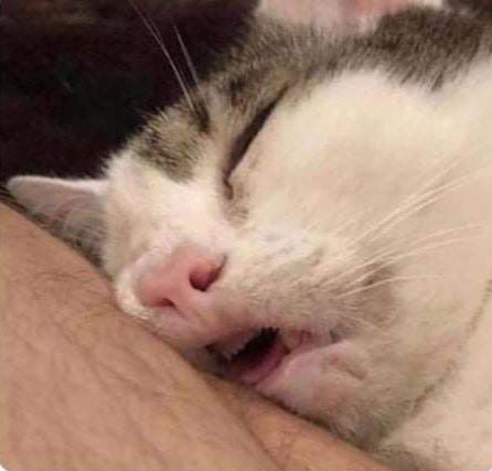 After 181 days of exams...
Hibernation mode On