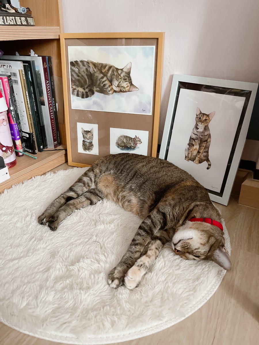 chescablacktea's tweet photo. 🐱Happy World Cat Day🐱 
รักเจ้าอ้วนที่สุดดดดด ❤️❤️❤️ 

#วันแมวโลก #InternationalCatDay https://t.co/8OvI9ACavF