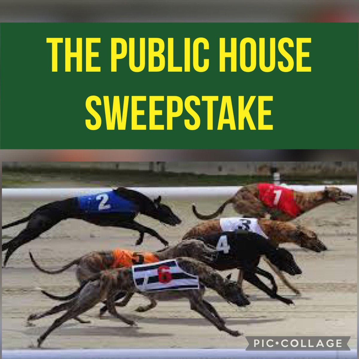 Racing tonight at 8 featuring the 1st round of The Public House Unraced Sweepstake.
