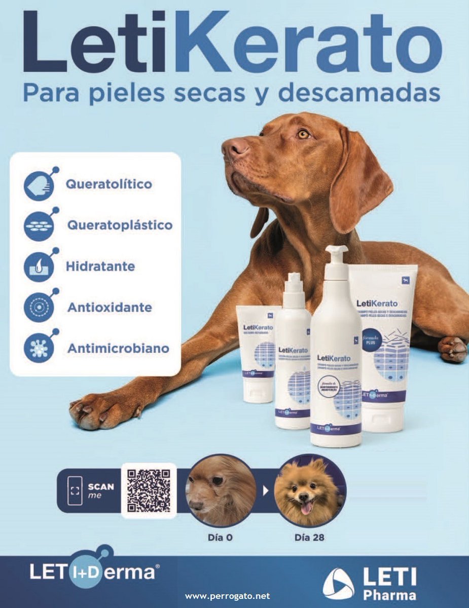 perrogato_net's tweet photo. https://t.co/jBRxdhegFo

LETI KERATO- Para pieles secas y descamadas https://t.co/WCXELp3Zco