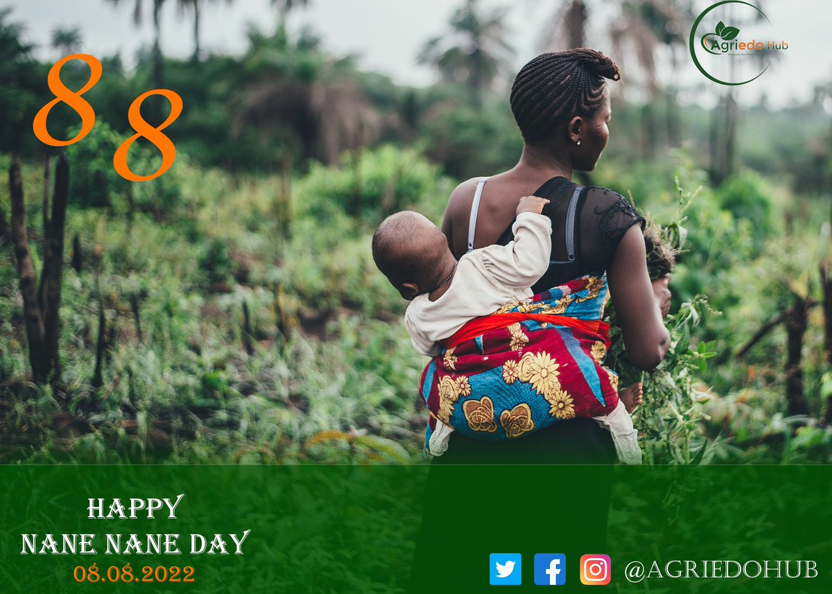 AgriedoHub's tweet photo. Agriedo hub wishes you a happy nane nane day https://t.co/XYMCSwQsJv