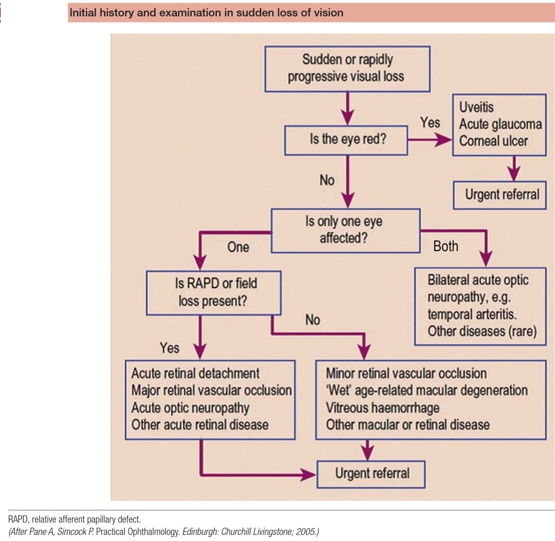 imedverse's tweet photo. 💡Clinical approach to patients presenting with sudden Loss of vision 

@pgMedicine #MedEd #MedTwitter    #Medstudenttwitter #MedStudents  #TipsForNewDocs #eyes #visualloss #FOAMed #health #healthcare #disease #EmergencyMedicine https://t.co/SXvize3fgz