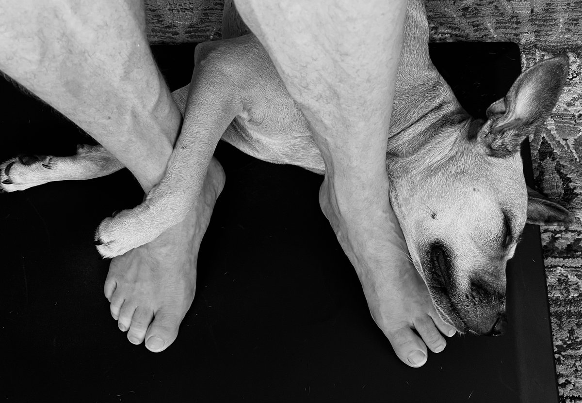 Keeping me company while I work.