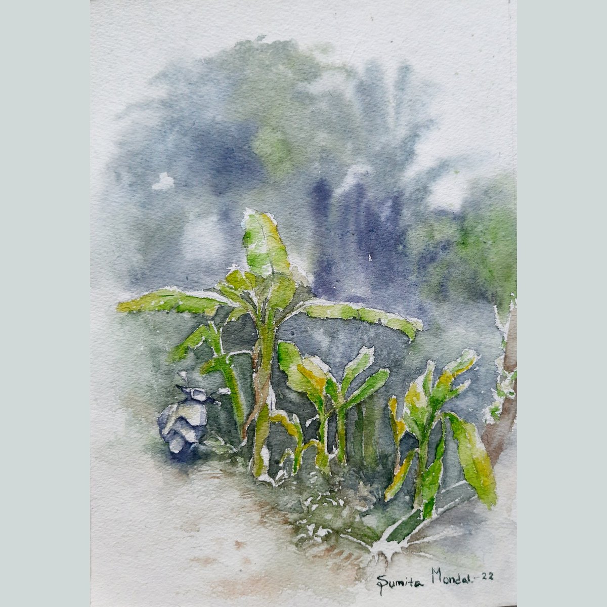 SumitasArtBook's tweet photo. Outdoor study 💚🌱
Tittle - Green 
Watercolour On Paper 
Size-11x15inch 
#Watercolourpainting #green #outddorstudy #bananatree #watercolour #Art #Artist https://t.co/hgqeF1lX4w