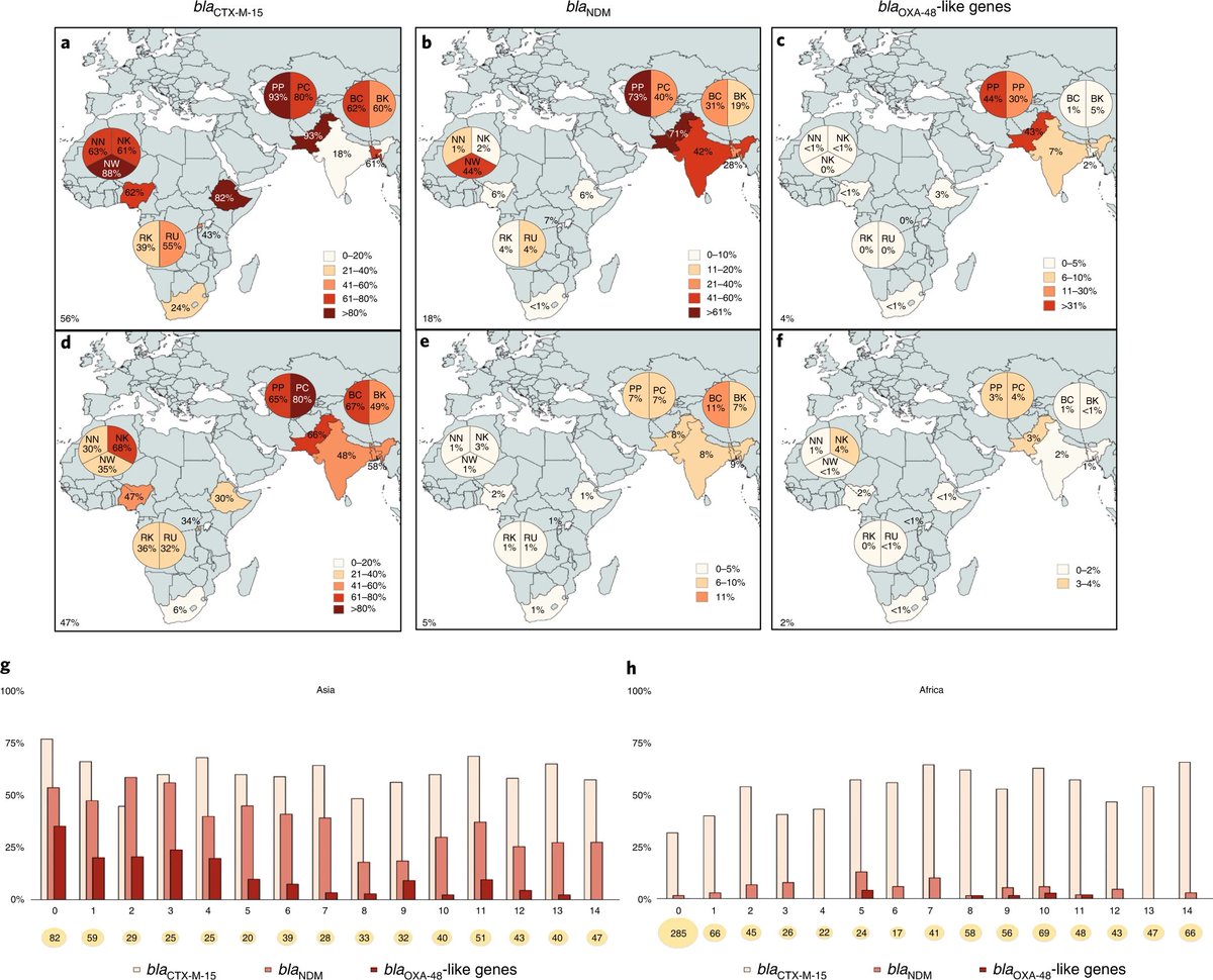 ICARS_global's tweet photo. #Neonatalsepsis is a major health problem in #LMICs but how, when & where do newborns acquire life-threatening infections?
The #BARNARDS study found #AMR carriage can occur within days of life & is more widespread than originally anticipated. https://t.co/GSNNgOQR0U #MondayRead https://t.co/nHXYW4hioP