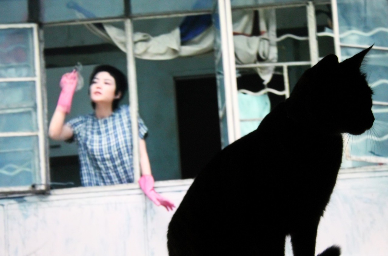  Happy & Happy Birthday, Faye Wong! 