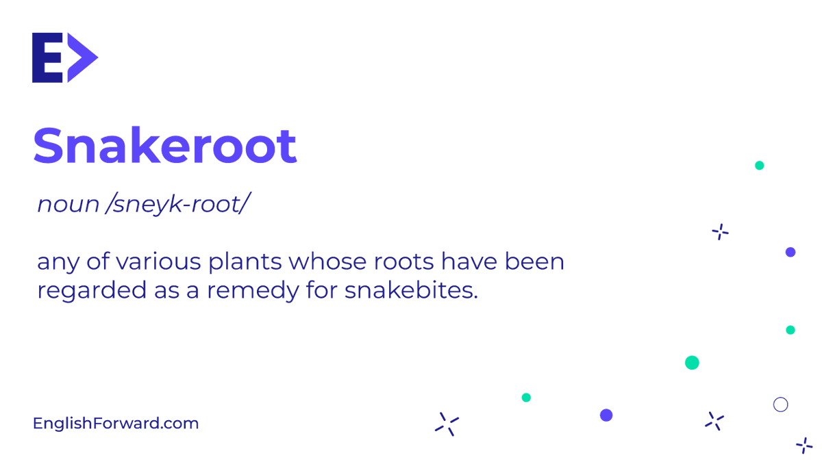 EnglishForwardB's tweet photo. E.g., Using snakeroots to treat hypertension is an old Indian tradition.
Comment your example 👇
#snakeroot #noun #fluentenglish #hypertension
#englishlanguageteaching
#englishquote #englishword #englishquiz
#englishlearner https://t.co/Ro4LR1f8JC
