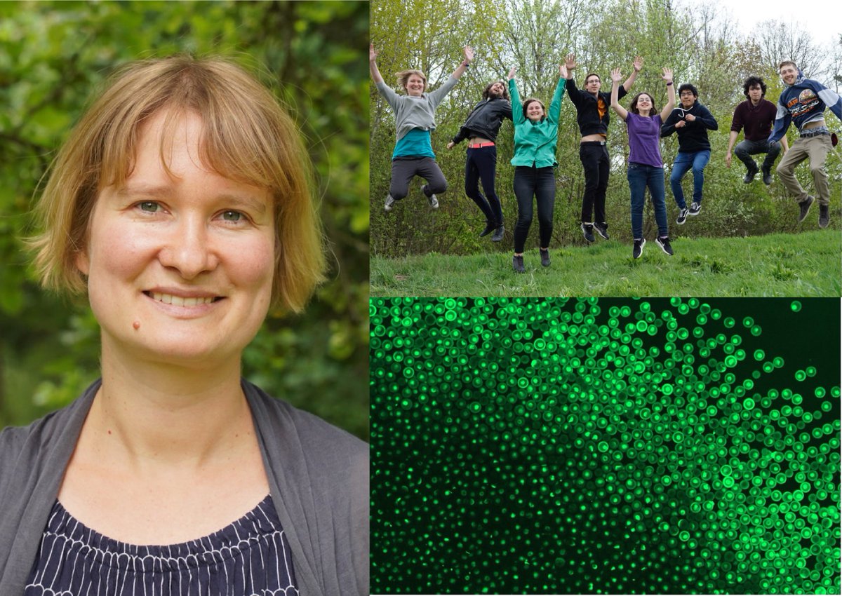 mpi_marburg's tweet photo. #MPITMTour: Are you curious about engineering #spatialorganization, constructing #artificial #lifelike systems, or applying #microfluidics with #cellfree methods? Check out Henrike Niederholtmeyer’s @HNiederho #synbio lab: https://t.co/MCHYUzRhkD https://t.co/SvlhvOAWHS