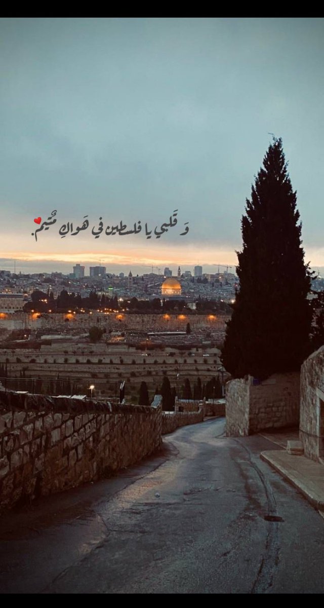YouseMai's tweet photo. #غزة_تحت_القصف
#غزة_تحت_القصف_الآن 
#غزة_تنتصر 
#غزه_تقاوم 
#غزة_تنتفض 
#غزة 
#GazaUnderAttack 
#Gaza_Under_Attack 
#gazaunderattakk 
#gaza_under_attack_now 
#Gaza 
#Gaza_Under_Attack_Now
#FreePalestine 
#اسرائيل_تقتل_اطفال_غزة 
#اسرائيل_ارهابيه 
#إسرائيل_منظمة_أرهابية 
🇵🇸🫶🏼❤️ https://t.co/A0AXNZ62sd