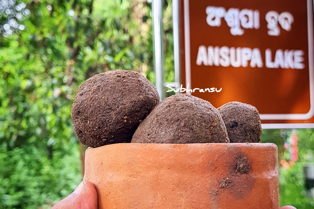 talktosubhransu's tweet photo. Throwing Seed Balls Near #Ansupa One of the major fresh-water lakes of #India. Let's work for a Greener Planet 🌍
@narendramodi @rashtrapatibhvn @dpradhanbjp @mannkibaat
@PMOIndia @moefcc @byadavbjp
#SubhransuSatpathy #SeedBall #Cuttack #Banki #GreenerPlanet #BirdMan #Odisha https://t.co/d3LycpGtS7
