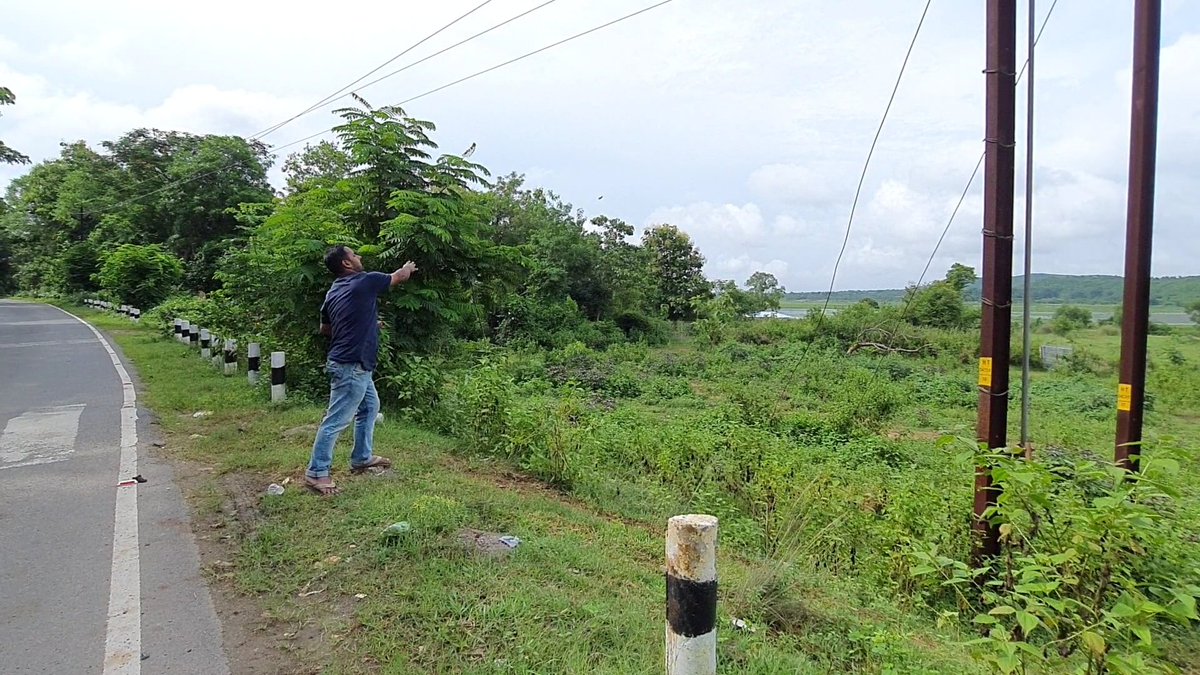 talktosubhransu's tweet photo. Throwing Seed Balls Near #Ansupa One of the major fresh-water lakes of #India. Let's work for a Greener Planet 🌍
@narendramodi @rashtrapatibhvn @dpradhanbjp @mannkibaat
@PMOIndia @moefcc @byadavbjp
#SubhransuSatpathy #SeedBall #Cuttack #Banki #GreenerPlanet #BirdMan #Odisha https://t.co/d3LycpGtS7