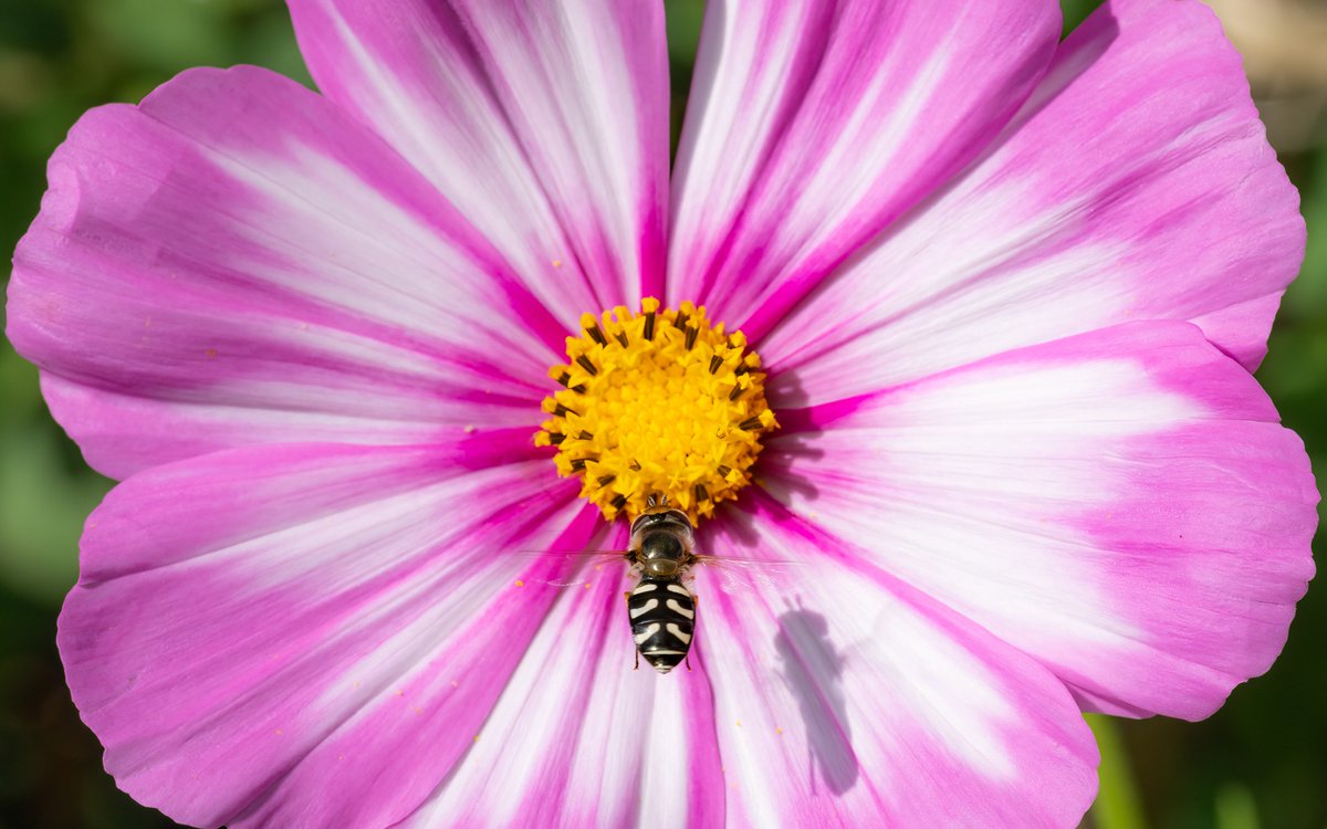 Kim Ågran tweet media