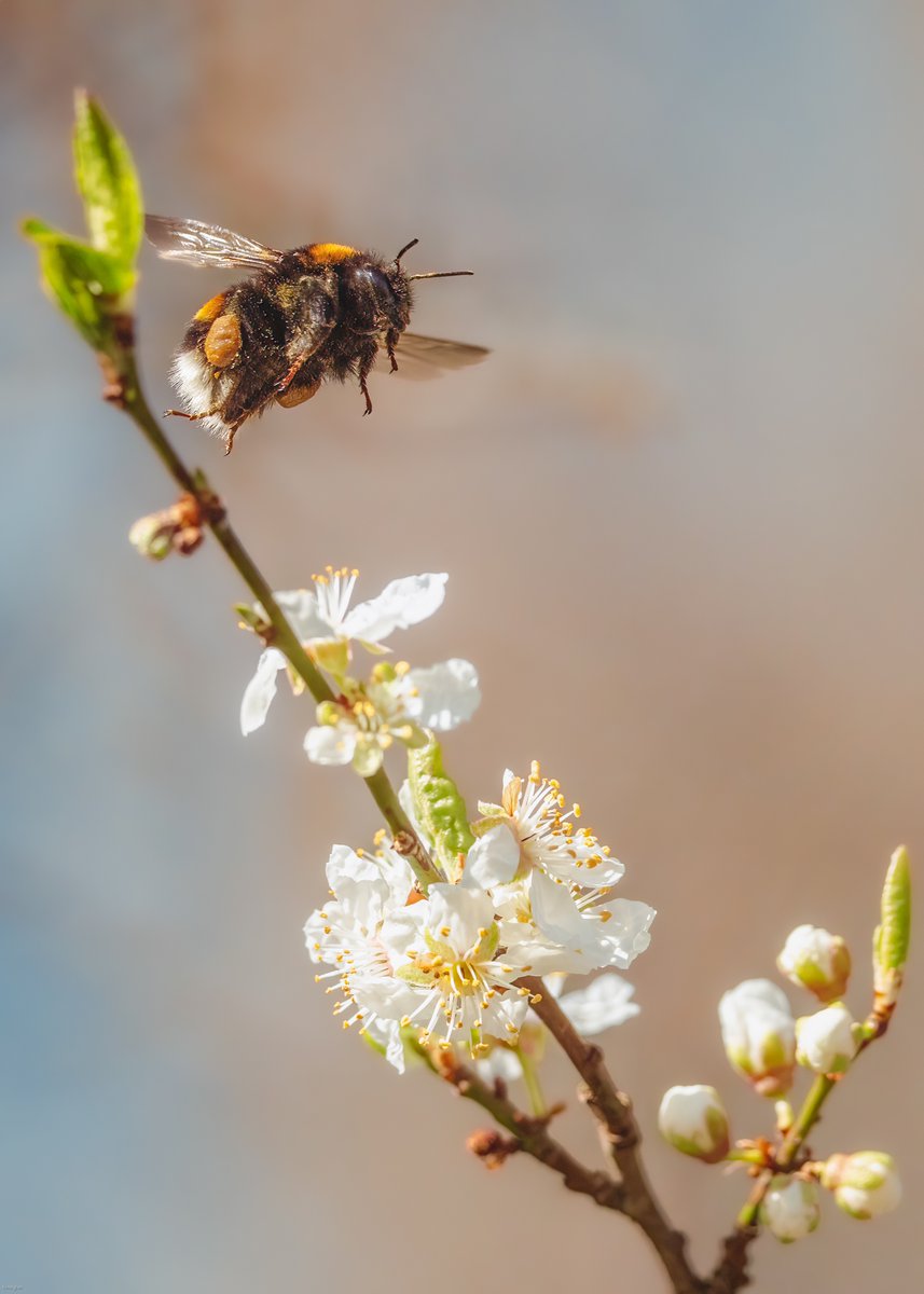 Kim Ågran tweet media