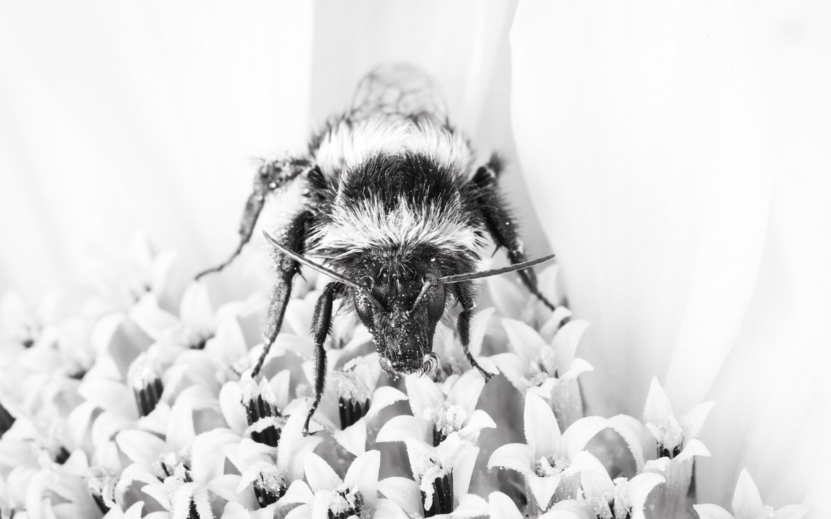 Kim Ågran tweet media