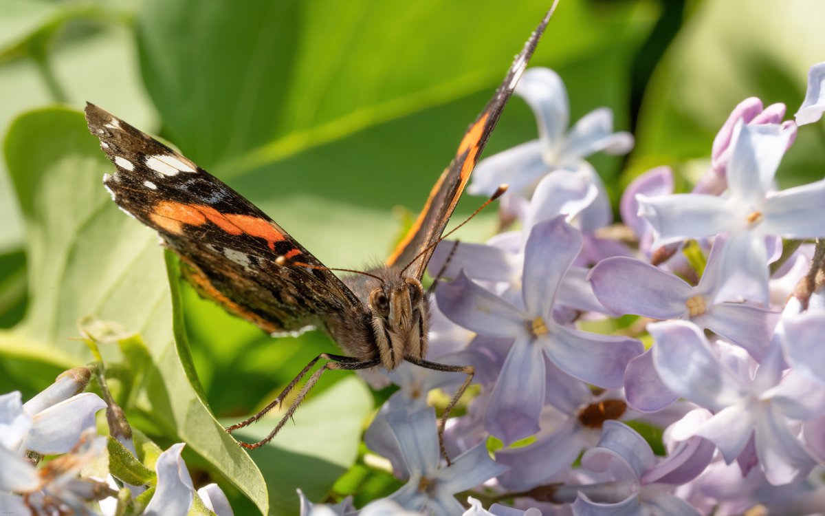 Kim Ågran tweet media