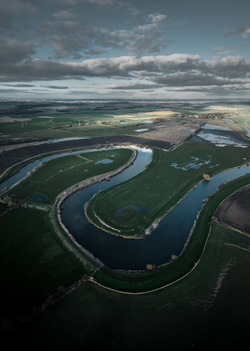 Manfred Teh tweet media