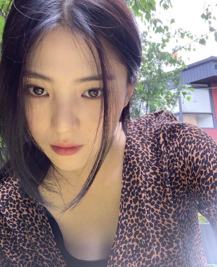 lqsohees's tweet photo. she possess ethereal beauty https://t.co/25Y3iIC2y0