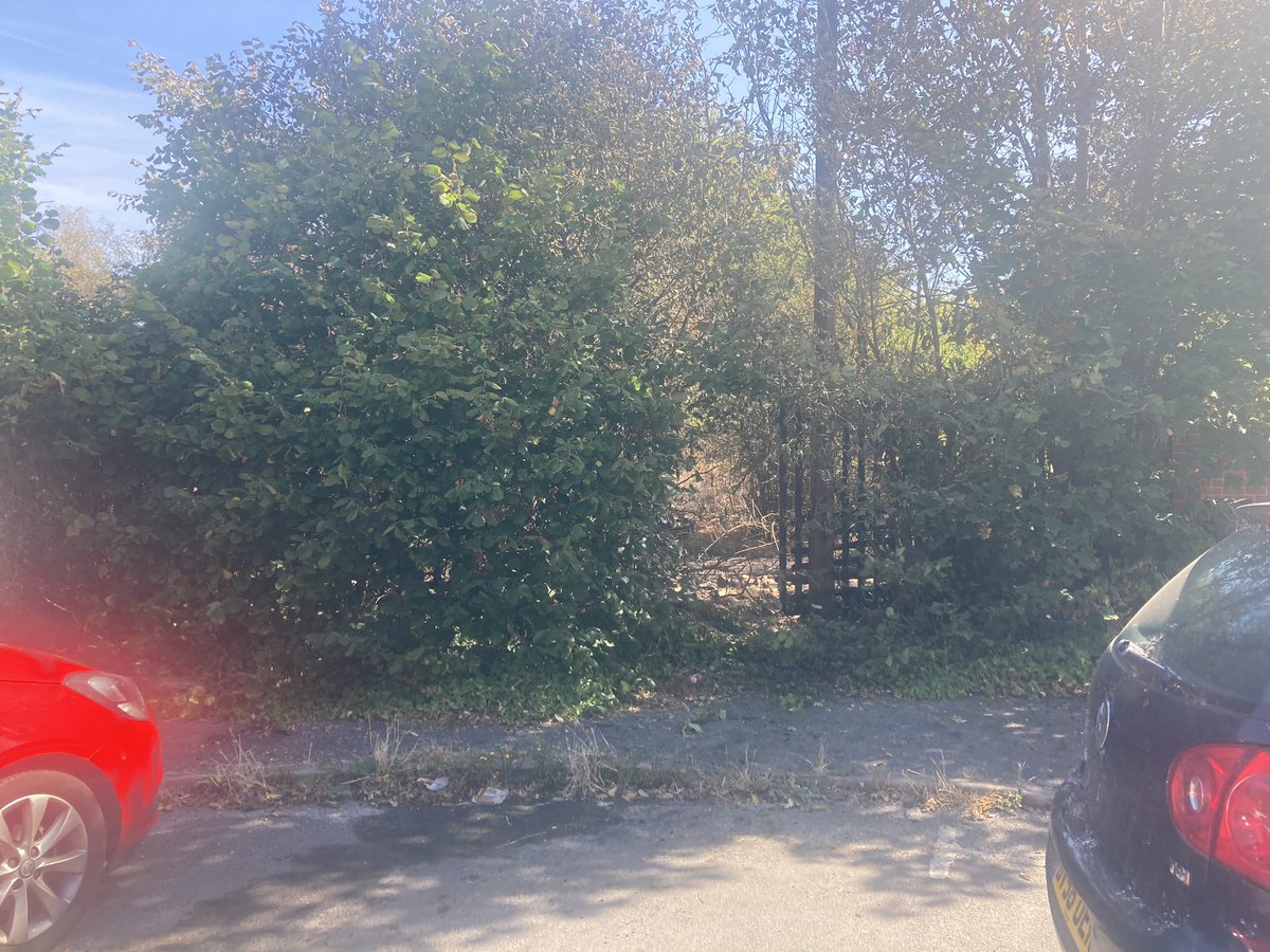 Frankieldonald's tweet photo. The aftermath of the fire down Hereford Road last night. At lot of gardens have gone up in flames due to limited access . Metal gates at the bottom of the road stopped the @LondonFire gaining early access to get the fire under control. @ITV @SkyNews @BBCNews https://t.co/OTX0Jwlx5W